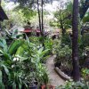 Bali Tropic Resort & Spa (39)